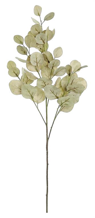 Light Green Silver Dollar Eucalyptus Spray