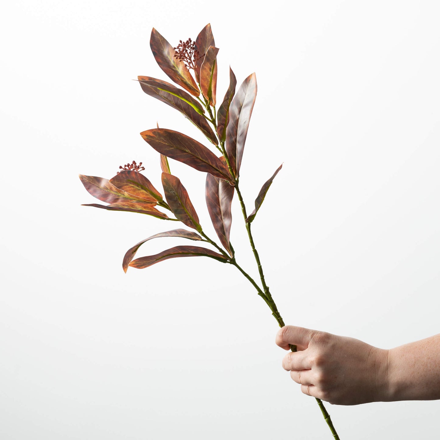 Leaf Seed Spray - 3 Colors