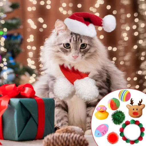 🎄 2025 New Cat Advent Calendar