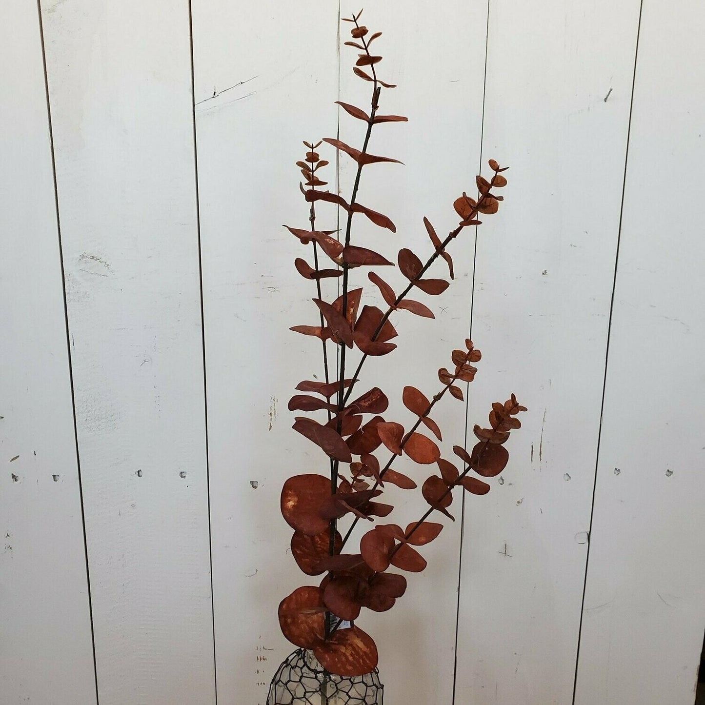 Brown Eucalyptus Spray