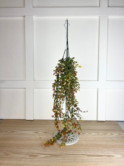 English Boxwood Berry Vine