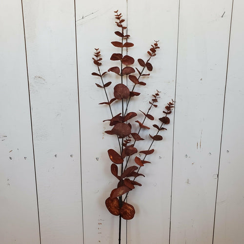 Brown Eucalyptus Spray