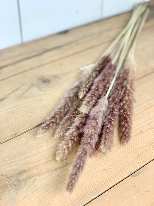 Faux Dried Natural Pampas Grass Bundle - Purple