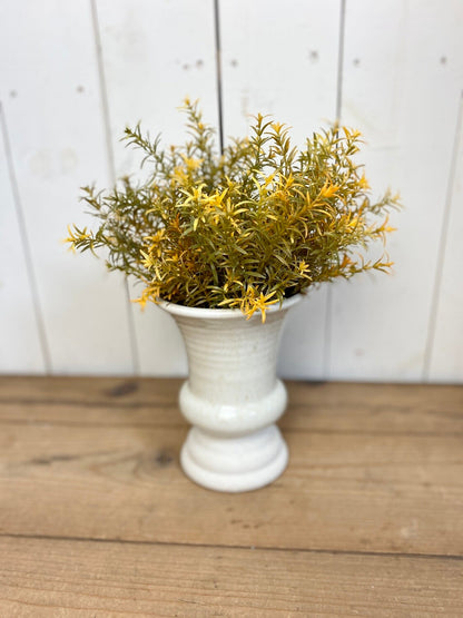 Harvest Rosemary Bush