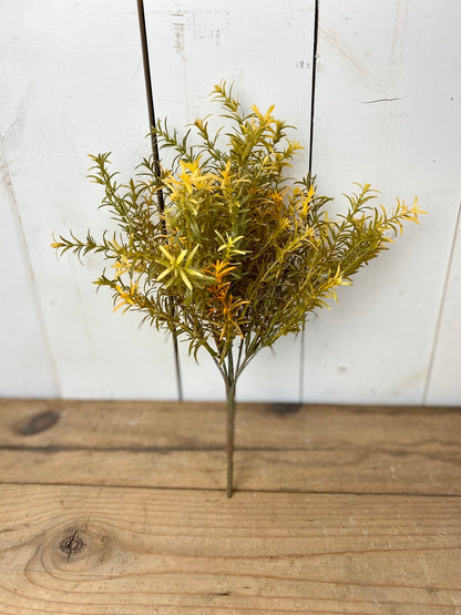 Harvest Rosemary Bush