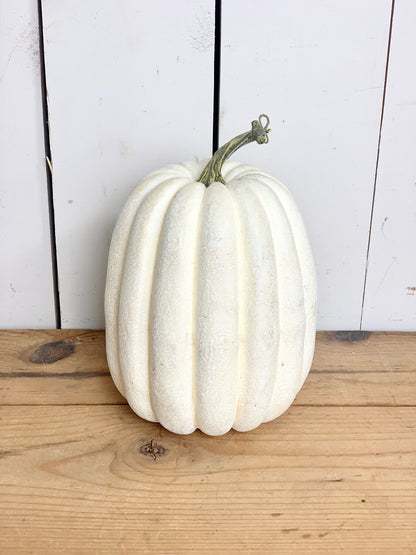 Farmhouse Matte Pumpkins