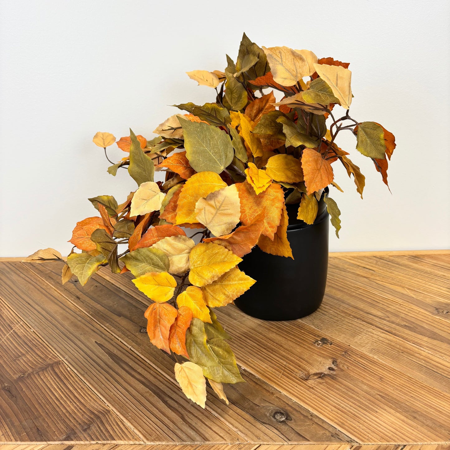 Witch Hazel Leaf Bush/Vine