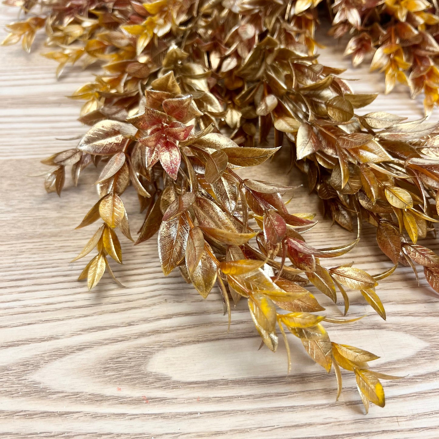 Golden Washed Ruscus Vine