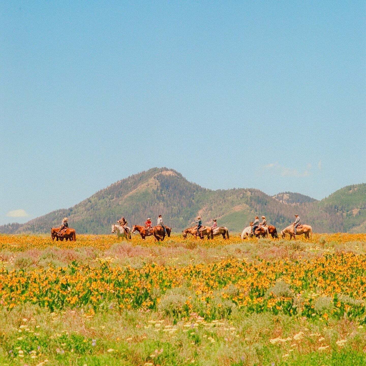 Mini-Camera Keychain