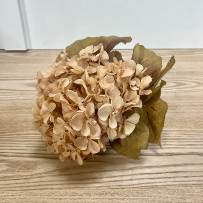 Fall Hydrangea Bushes