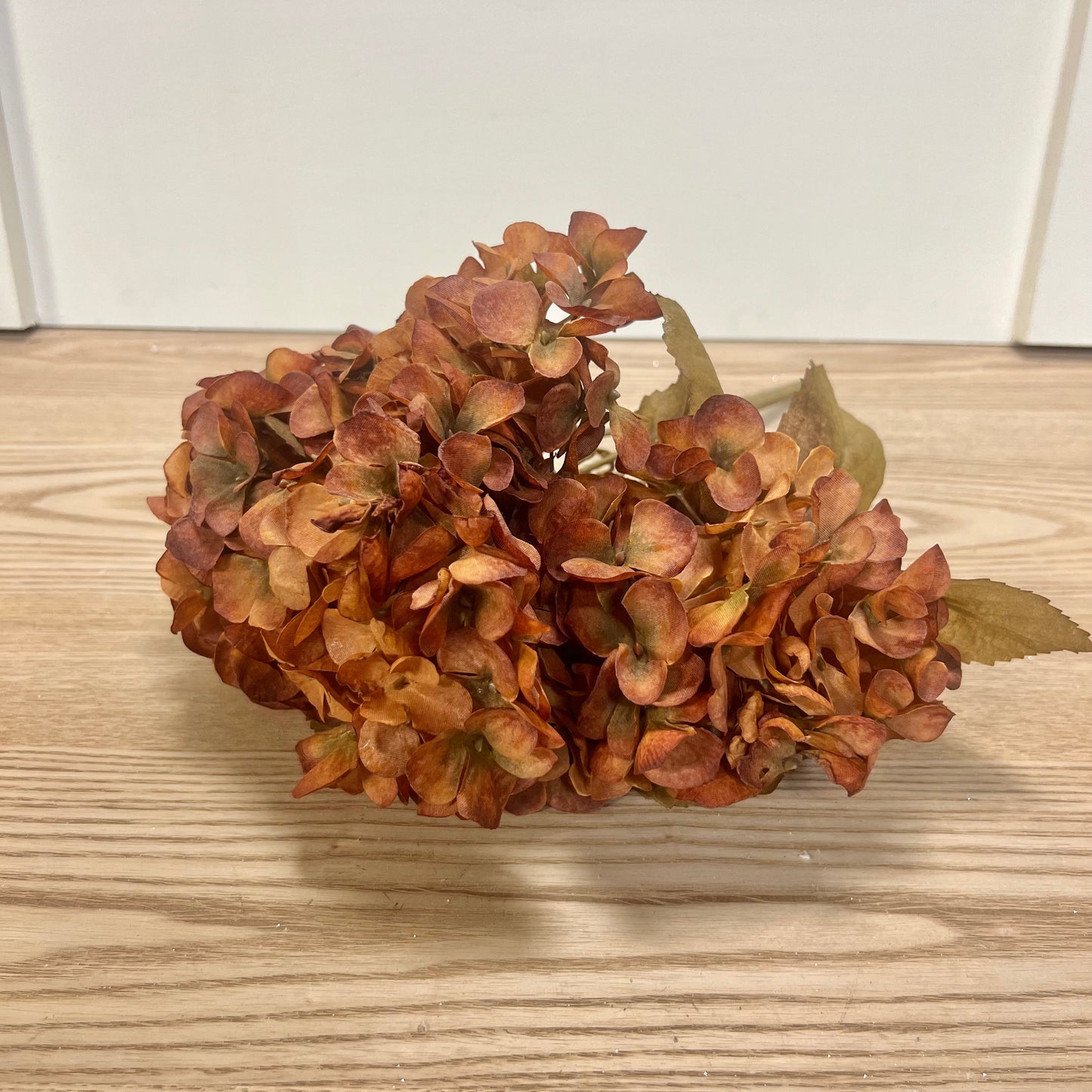 Fall Hydrangea Bushes