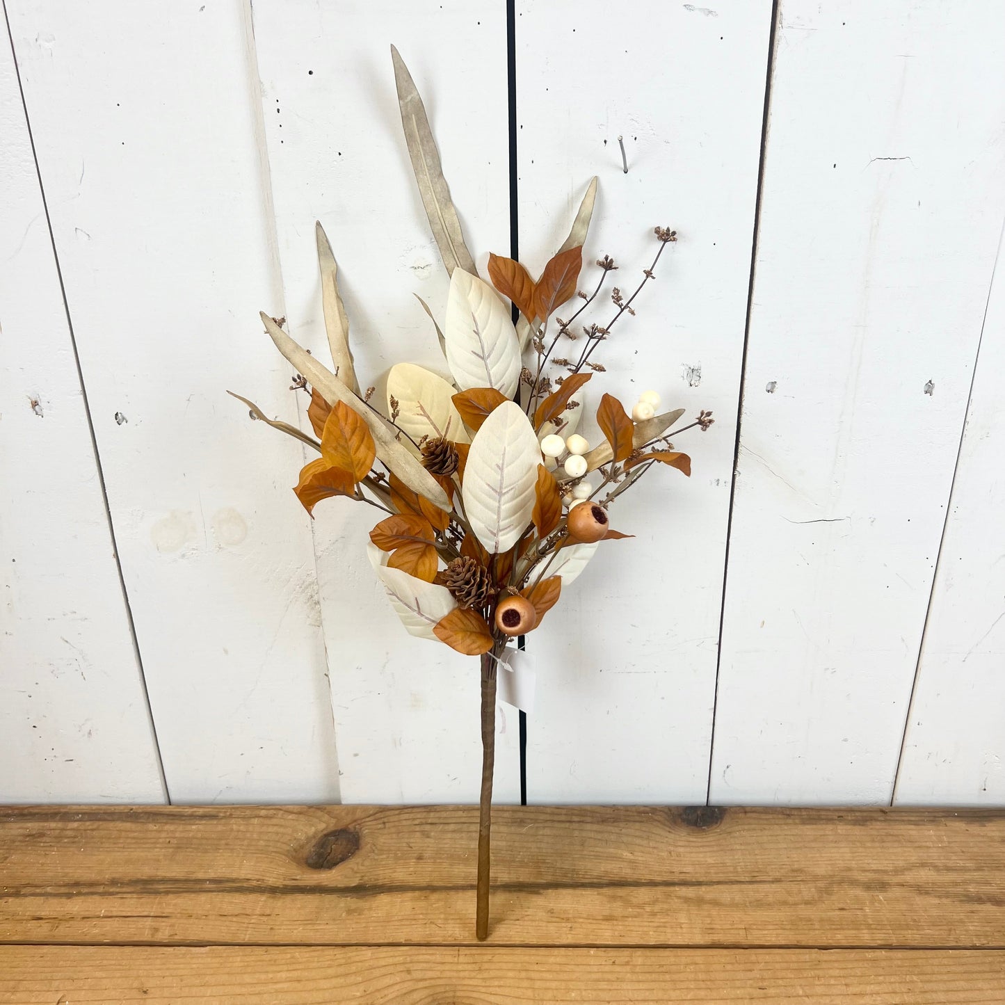 Cream and Orange Fall Collection