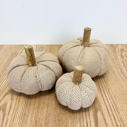 Beige Pumpkin - 3 Sizes