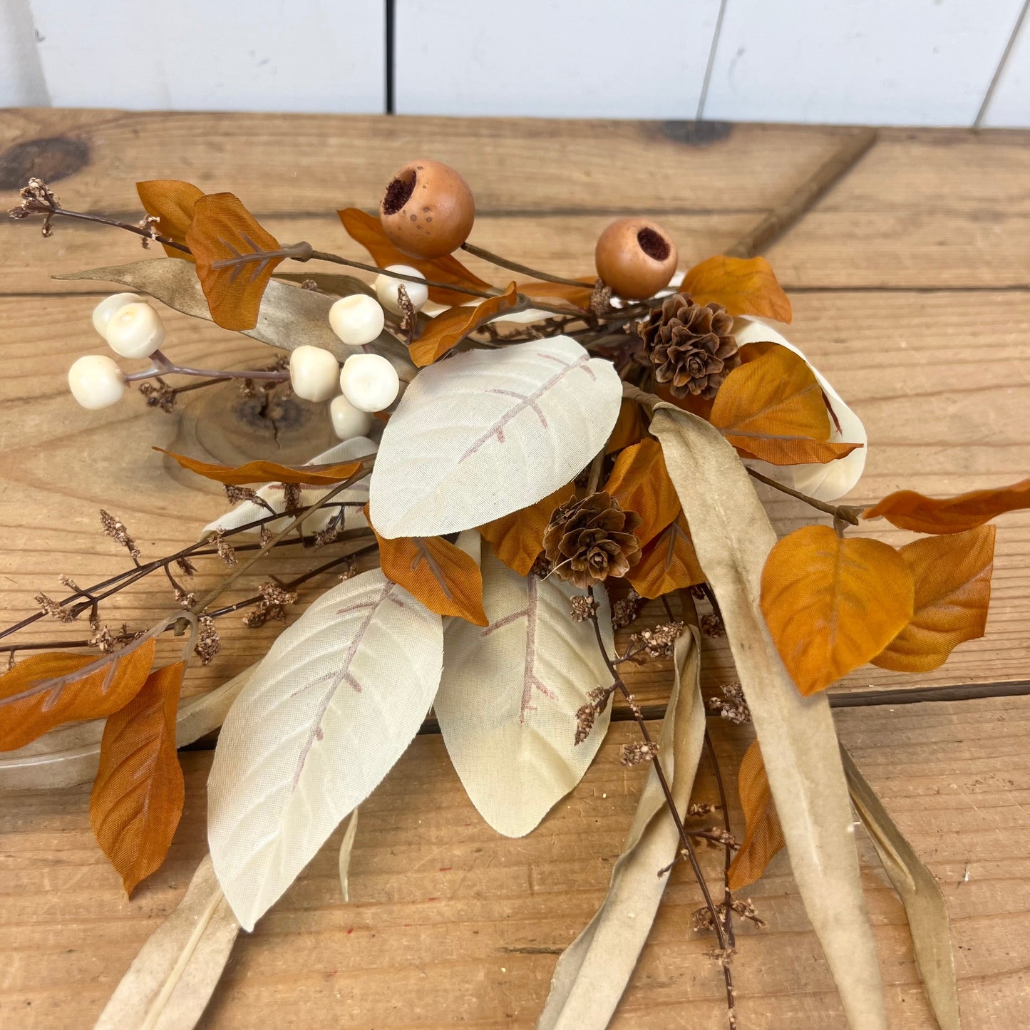 Cream and Orange Fall Collection