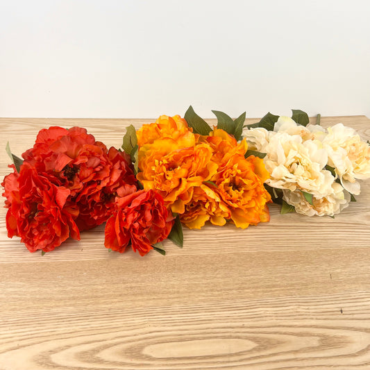 Fall Peony Bush - 3 Colors