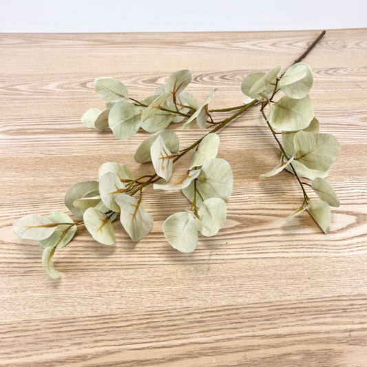 Light Green Silver Dollar Eucalyptus Spray