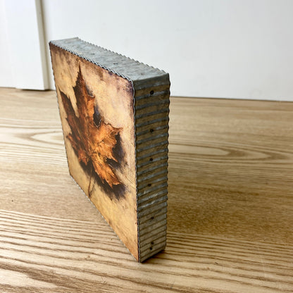 Fall Still Life Shelf Setters - 6 Styles