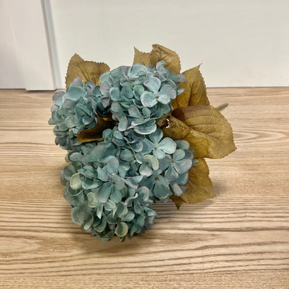 Fall Hydrangea Bushes