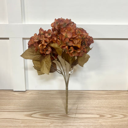 Fall Hydrangea Bushes