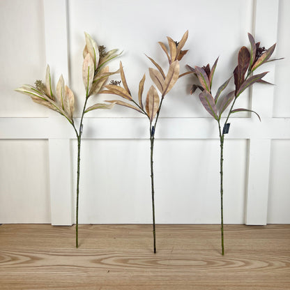 Leaf Seed Spray - 3 Colors