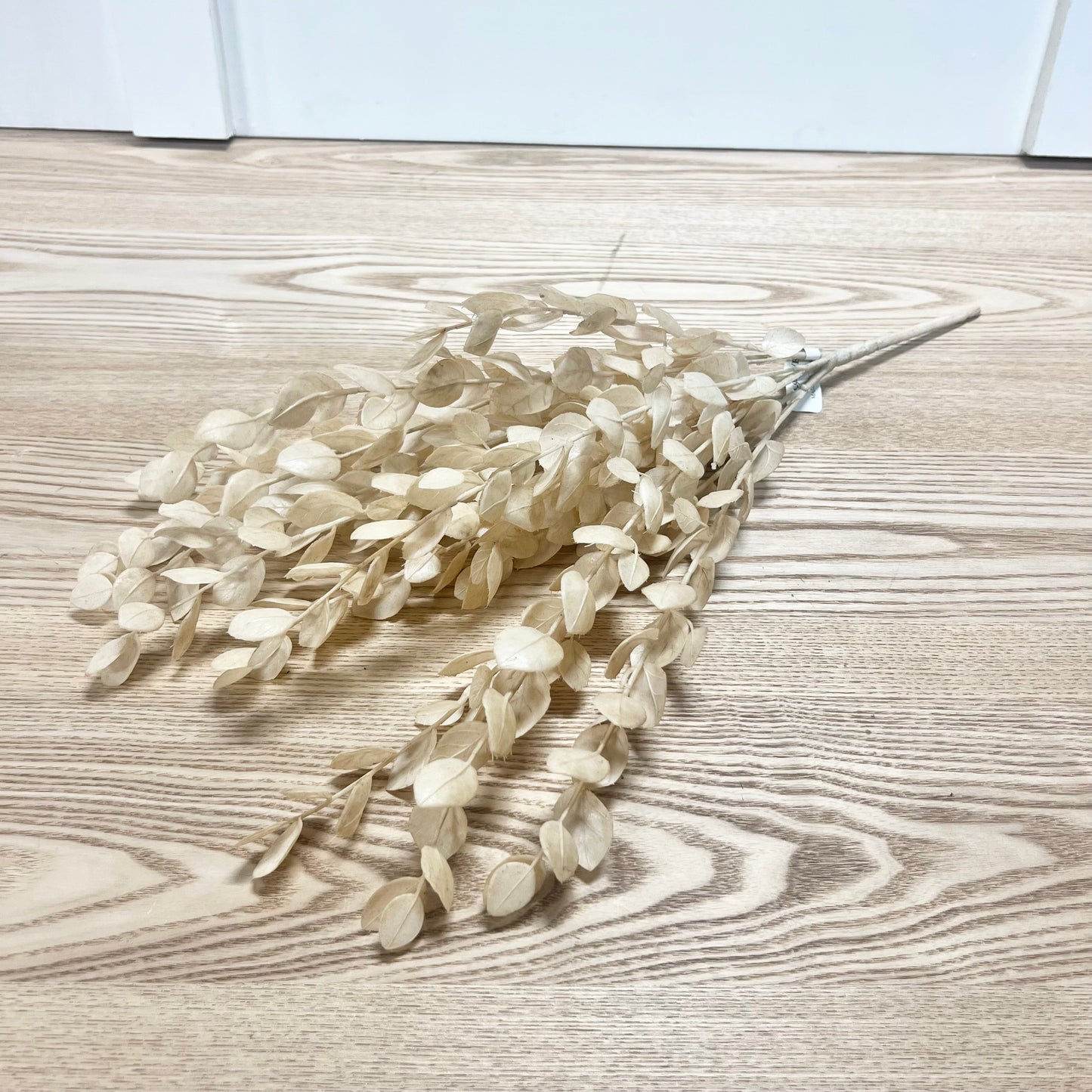 Cream Eucalyptus Bundle