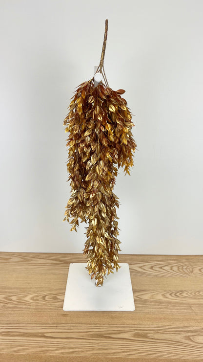 Golden Washed Ruscus Vine