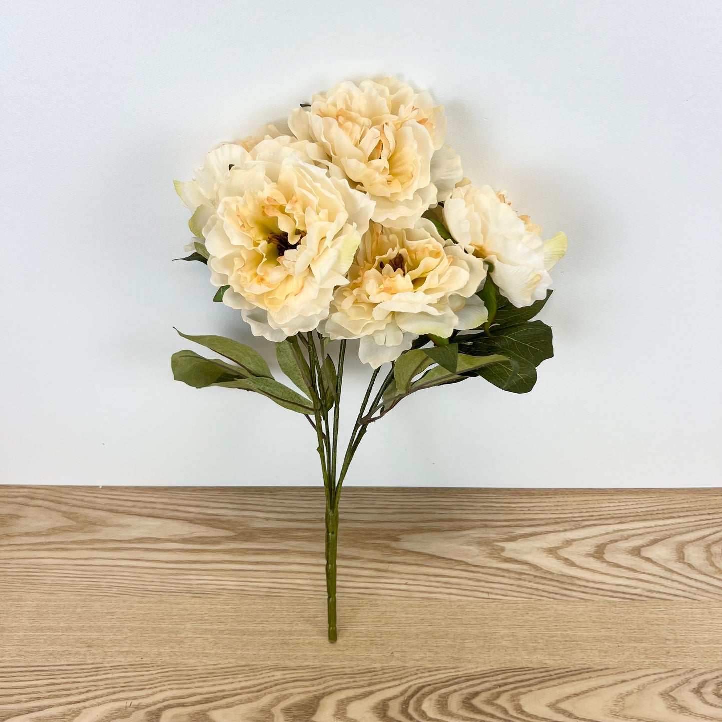 Fall Peony Bush - 3 Colors