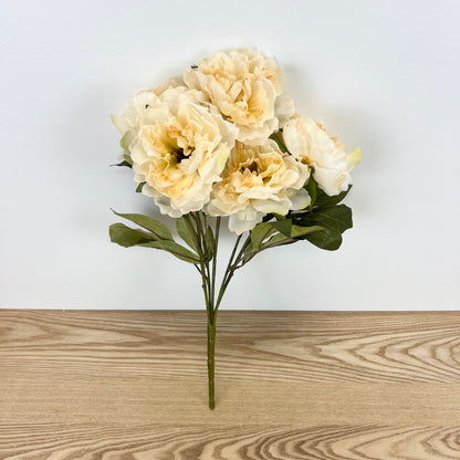 Fall Peony Bush - 3 Colors