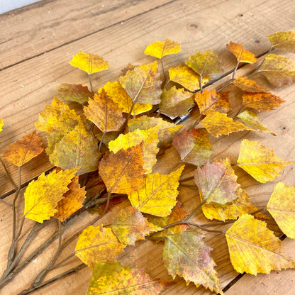 Golden Brown Birch Spray