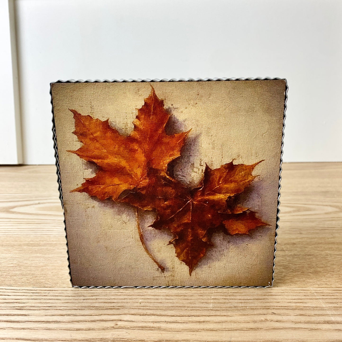 Fall Still Life Shelf Setters - 6 Styles