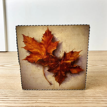 Fall Still Life Shelf Setters - 6 Styles