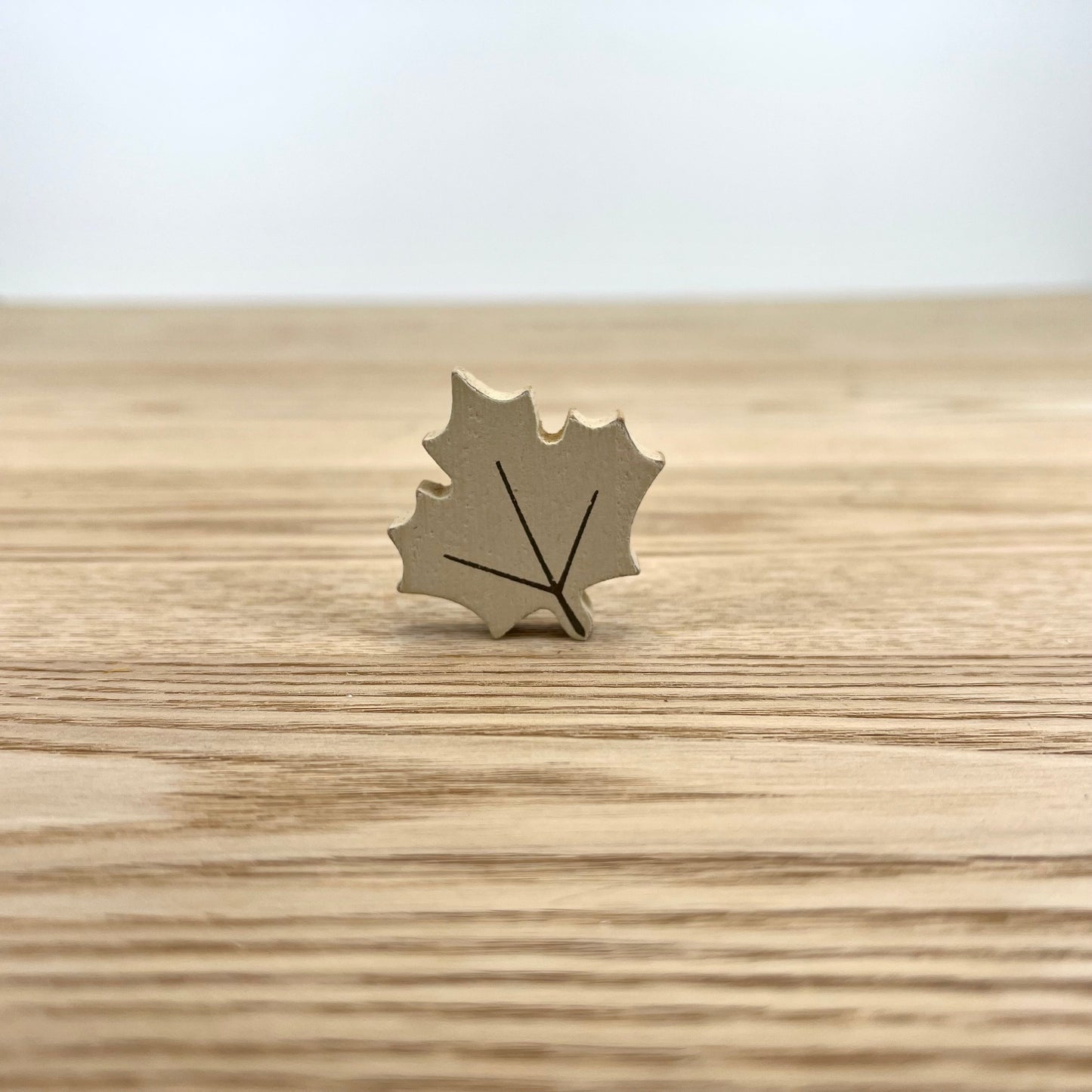 Fall Decorative Wooden Shapes