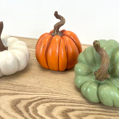 Harvest Pumpkin, 3 colors