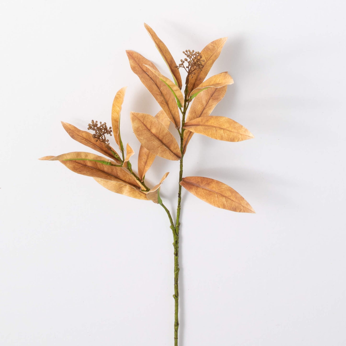 Leaf Seed Spray - 3 Colors