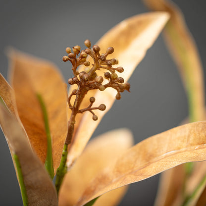 Leaf Seed Spray - 3 Colors