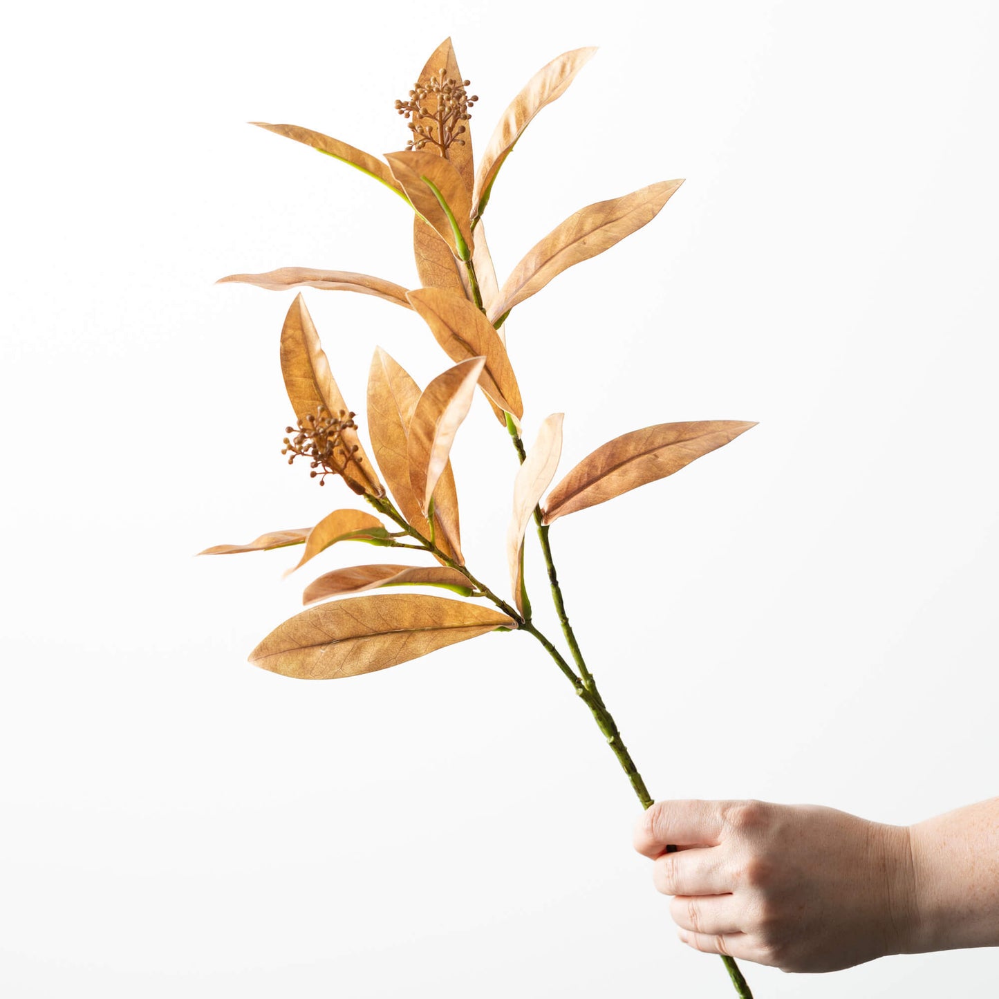 Leaf Seed Spray - 3 Colors