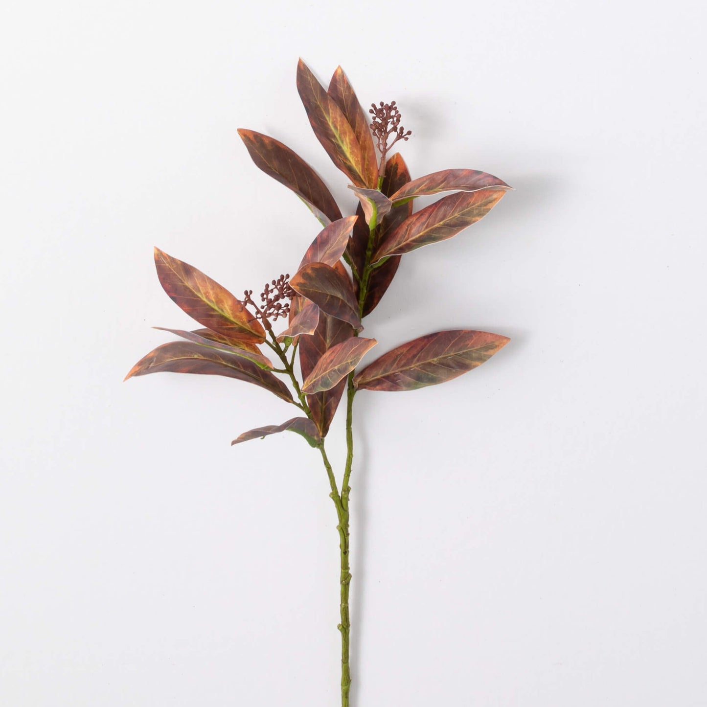 Leaf Seed Spray - 3 Colors