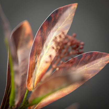 Leaf Seed Spray - 3 Colors