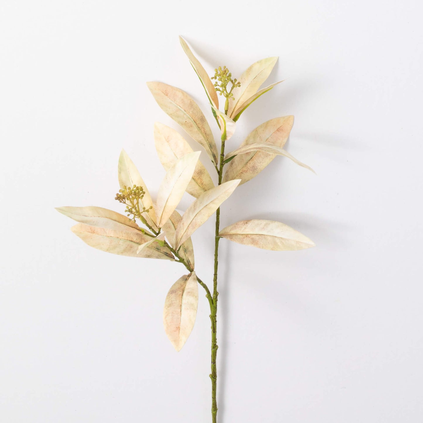 Leaf Seed Spray - 3 Colors