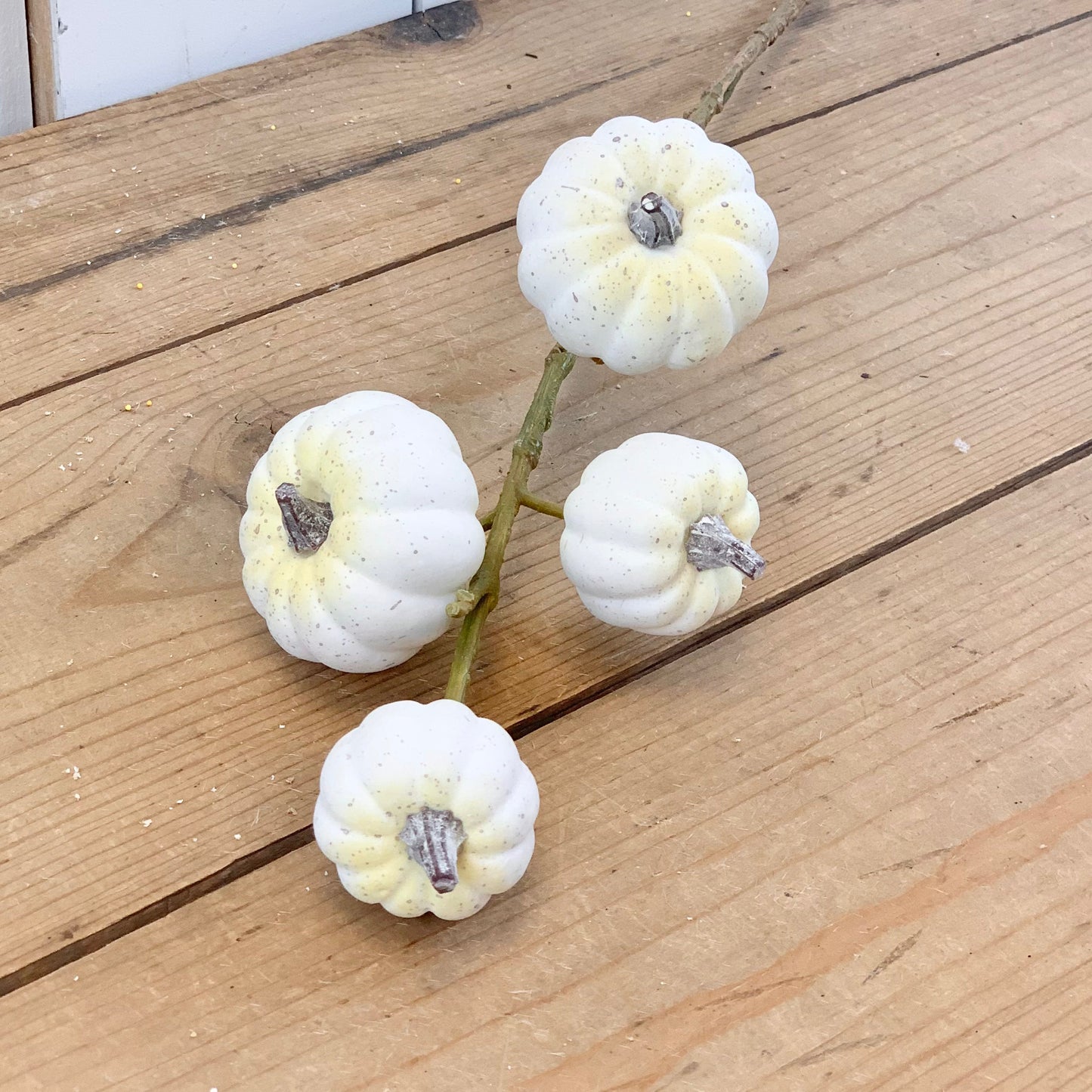 White Pumpkin Stem