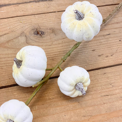 White Pumpkin Stem