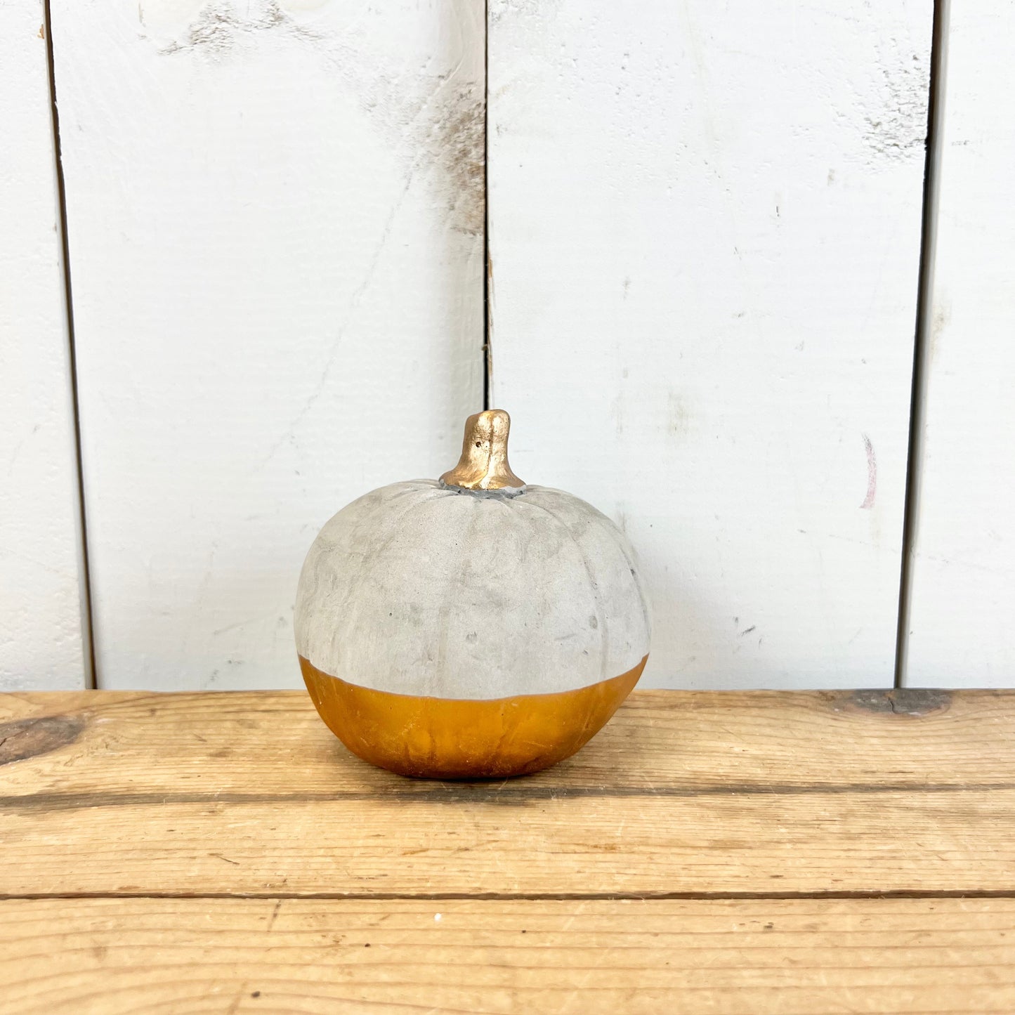 Cement and Gold Pumpkin/Acorn
