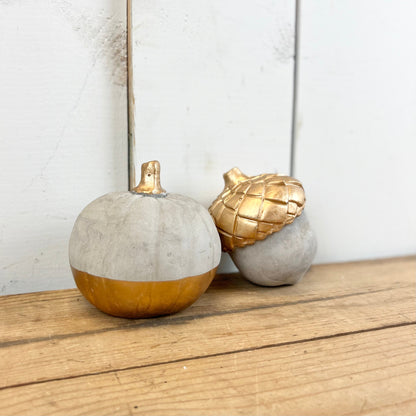 Cement and Gold Pumpkin/Acorn