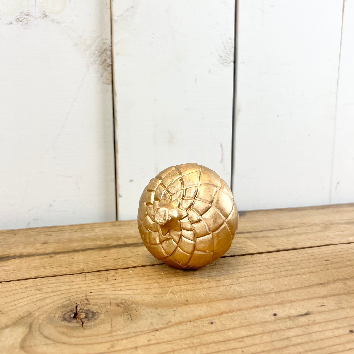 Cement and Gold Pumpkin/Acorn
