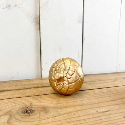 Cement and Gold Pumpkin/Acorn