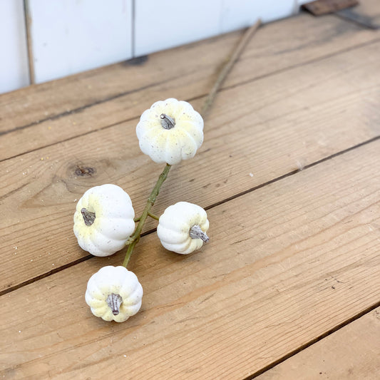 White Pumpkin Stem