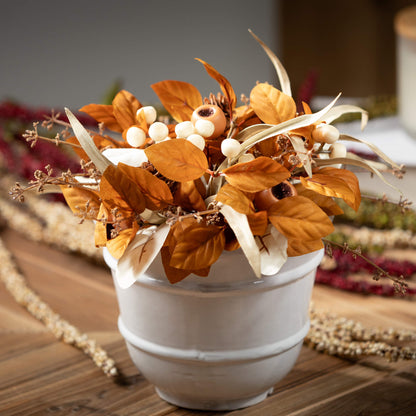 Cream and Orange Fall Collection