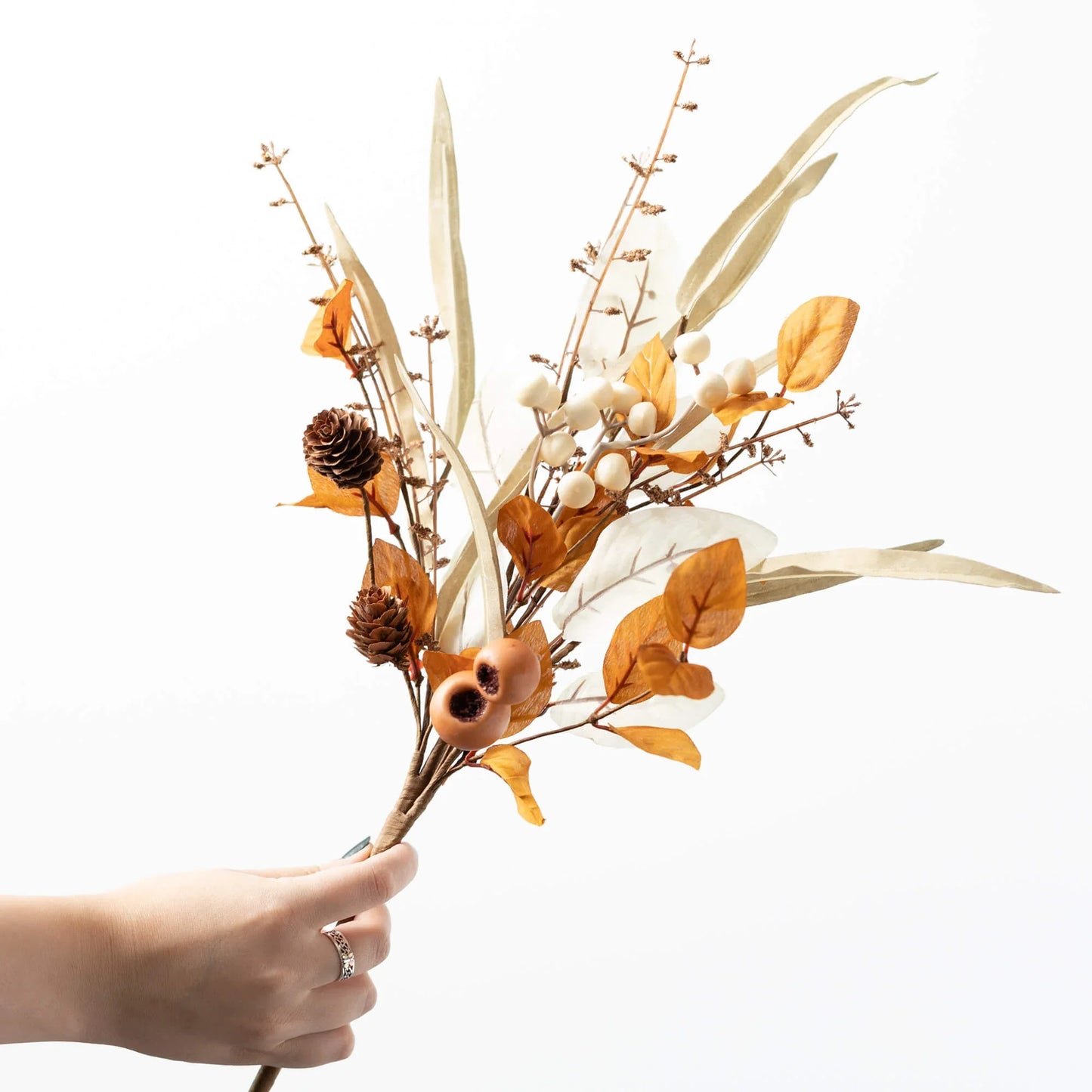 Cream and Orange Fall Collection