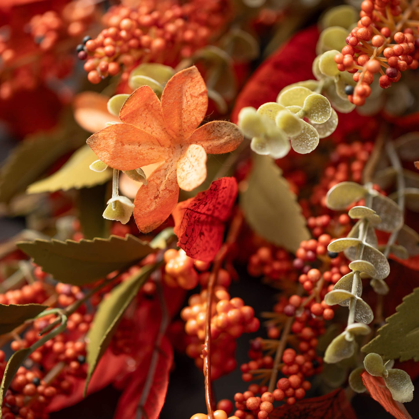 Vibrant Fall Collection